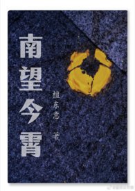 南望今霄（1V2）南望今霄（1V2）
